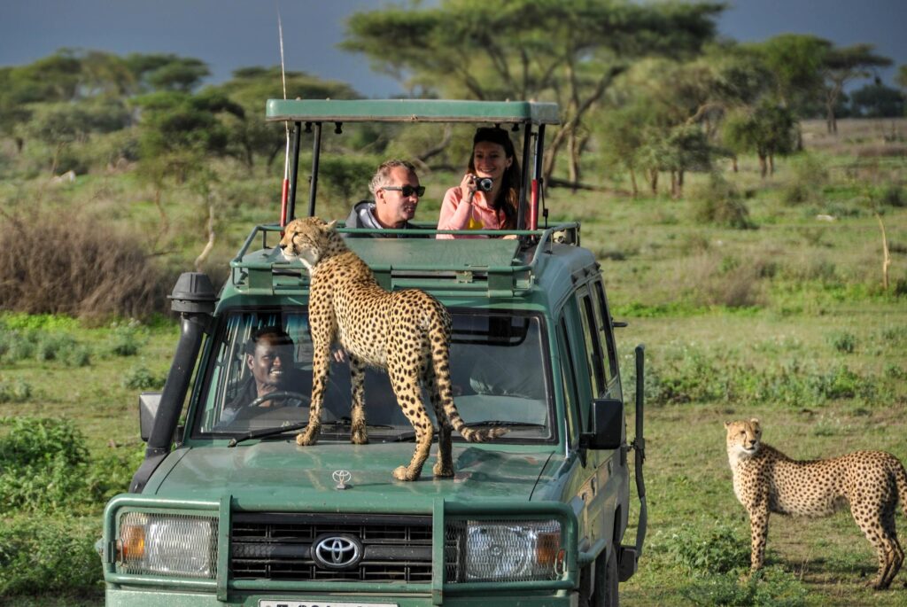 MAASAI MARA – COAST Safari Package - 6 Days, 5 Nights  - 6 days, 5 nights - game drive plus a beach holiday.